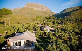 Wagyu Mountain Lodge